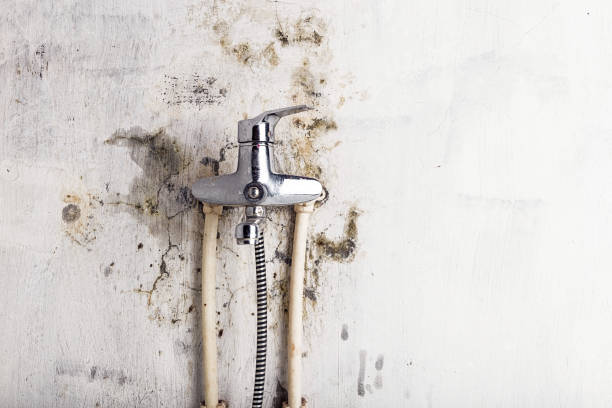 Best Mold Remediation for Specific Building Types in Valley Falls, RI
