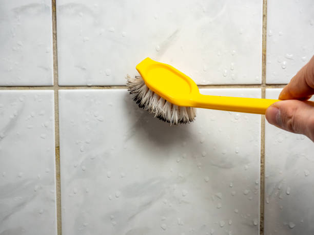Best Preventive Mold Services in Valley Falls, RI