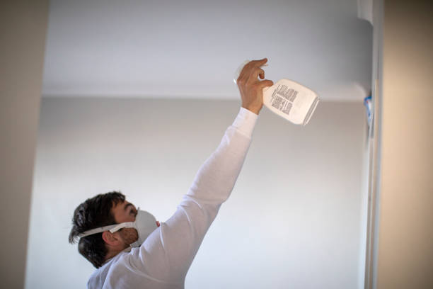 Best Health and Safety Mold Remediation in Valley Falls, RI