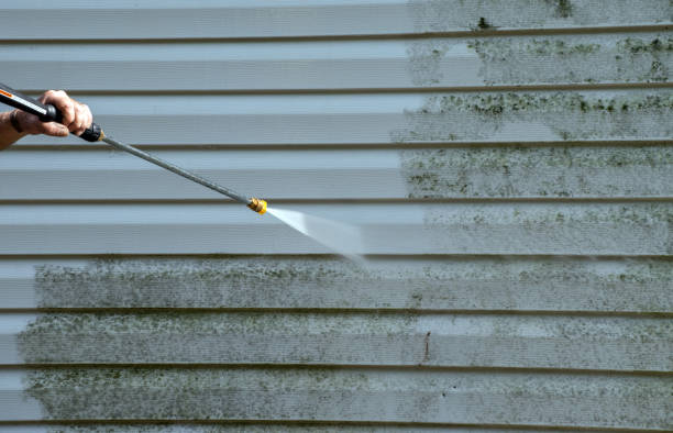 Best Industrial Mold Remediation in Valley Falls, RI