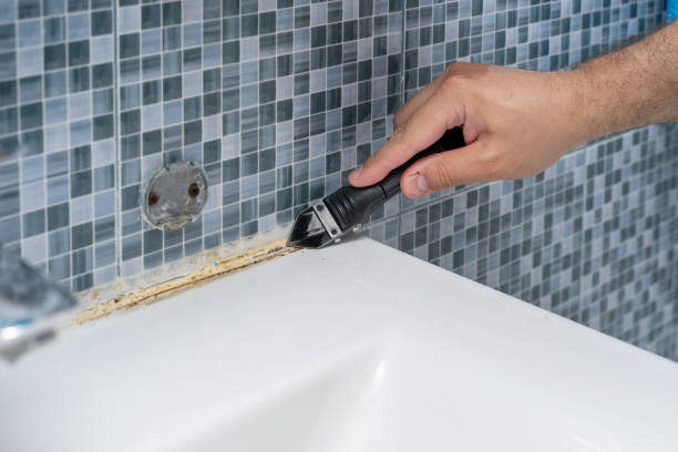 Best Insurance-Related Mold Remediation in Valley Falls, RI